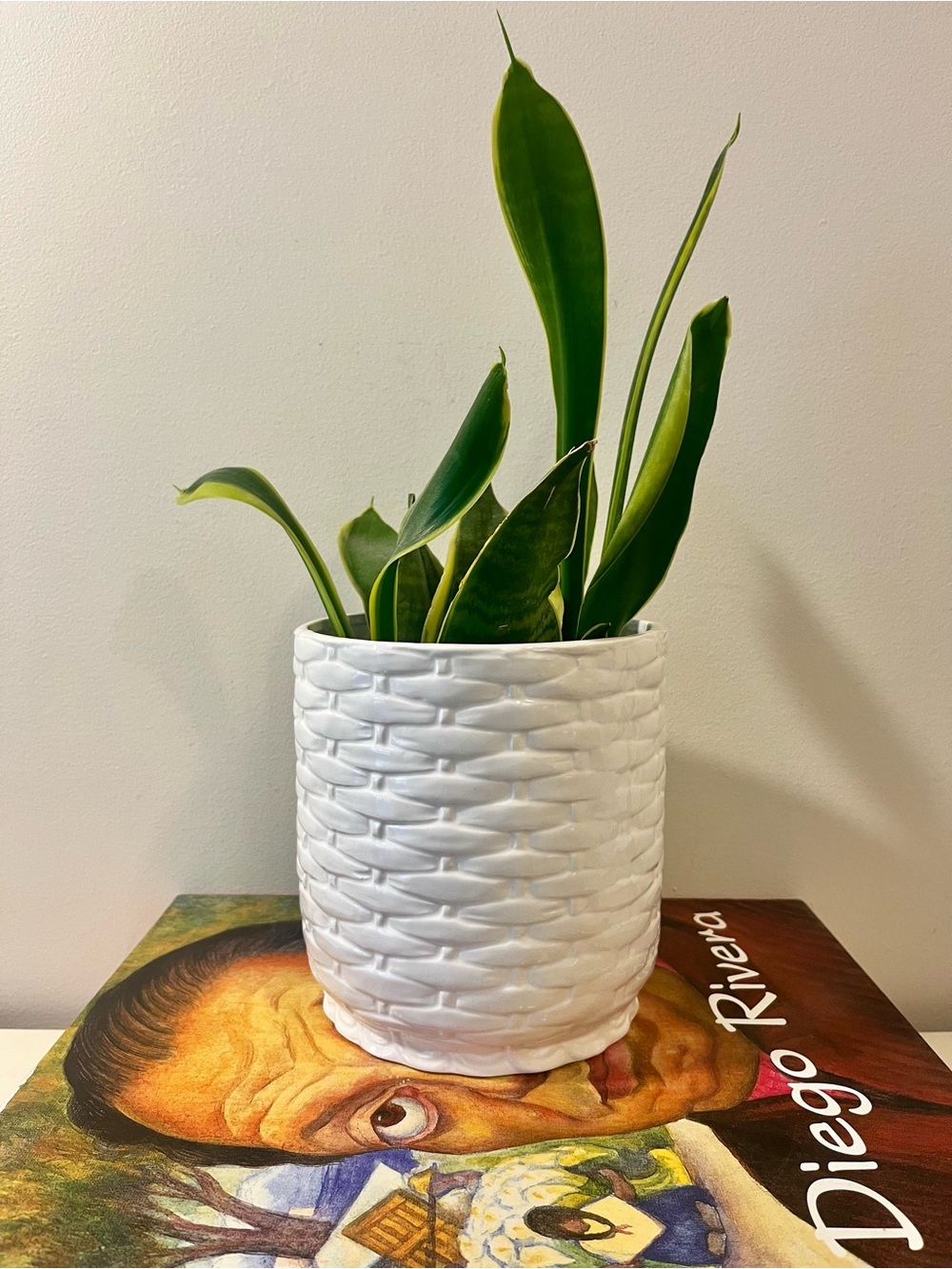MCM Vintage Ceramic Planter Geo.Z.Lefton White Basketweave Planter
